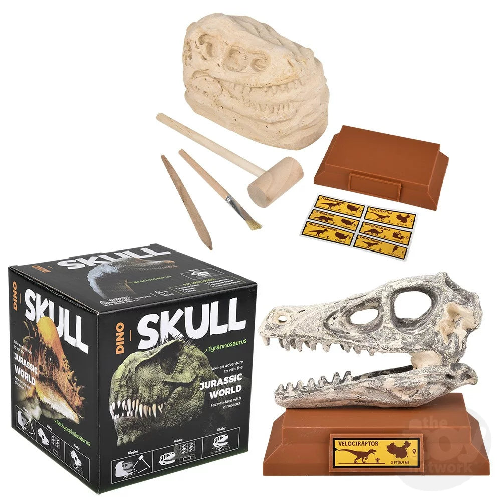 Velociraptor Skull Excavation Kit