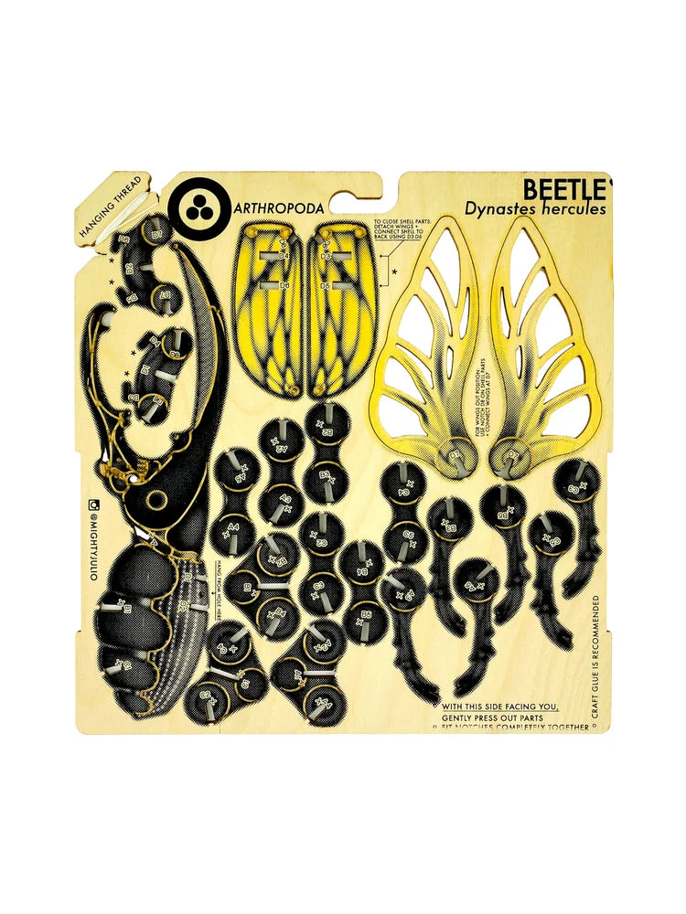Beetle Puzzle