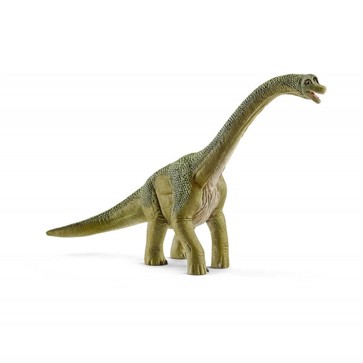Brachiosaurus Replica Toy