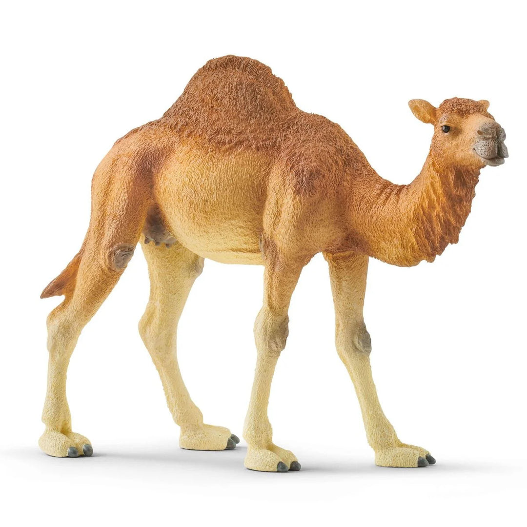 Camel Replica Toy