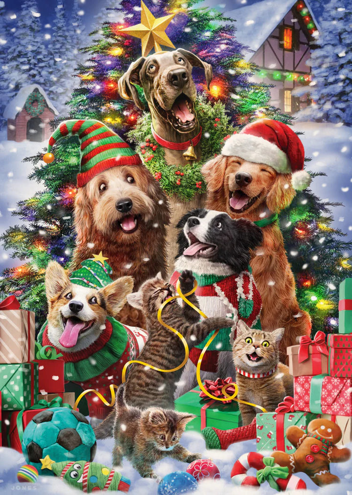 Silly Pet Christmas Card Collection