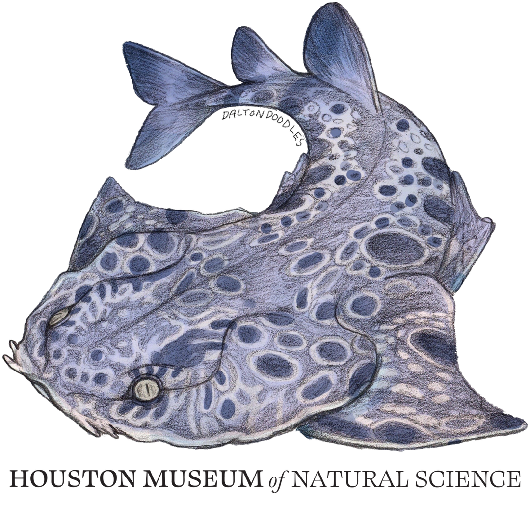 Clouded AngelShark HMNS Sticker