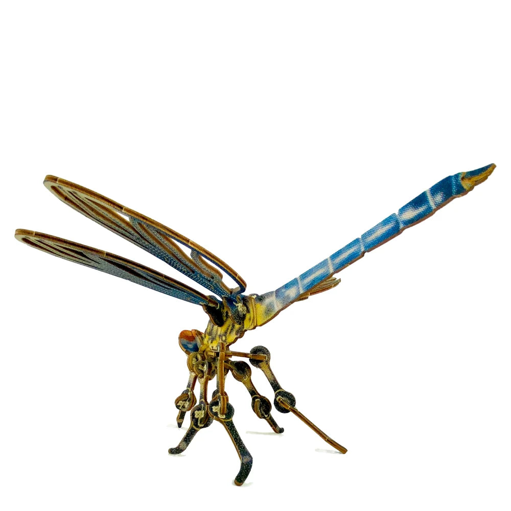 Dragonfly Puzzle