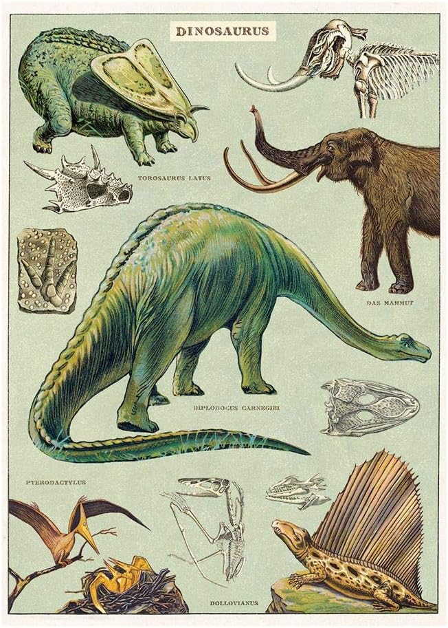 Dinosaur Poster