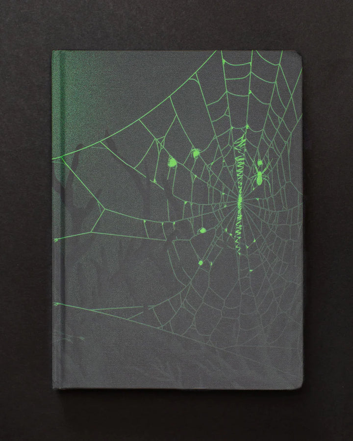 Spiders & Webs Dark Matter Notebook