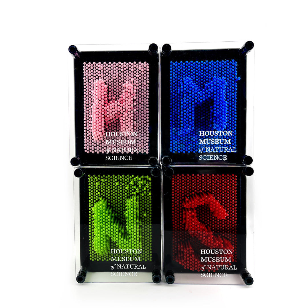 HMNS 3D Pin Art