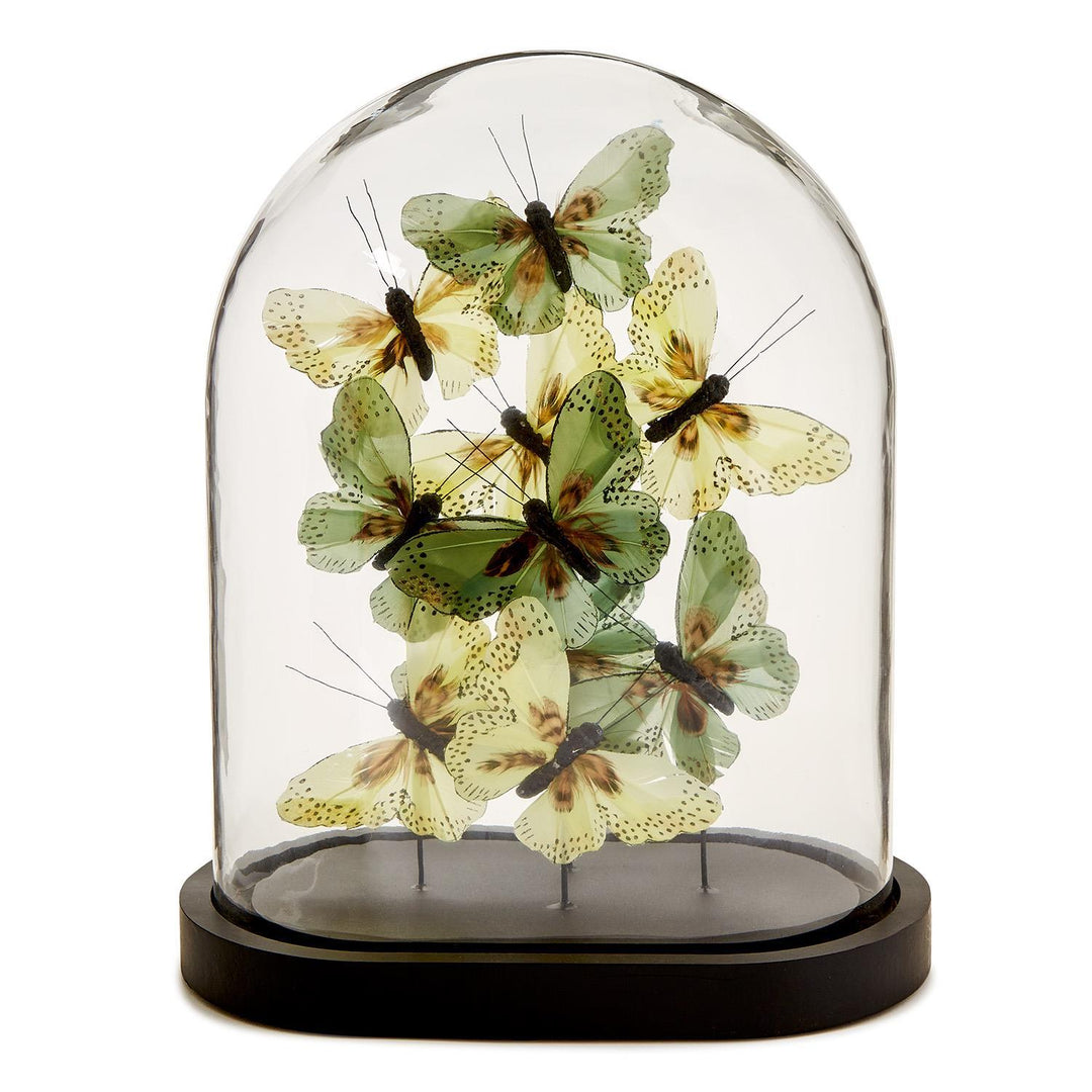 Flora and Fauna Butterflies Dome- Green