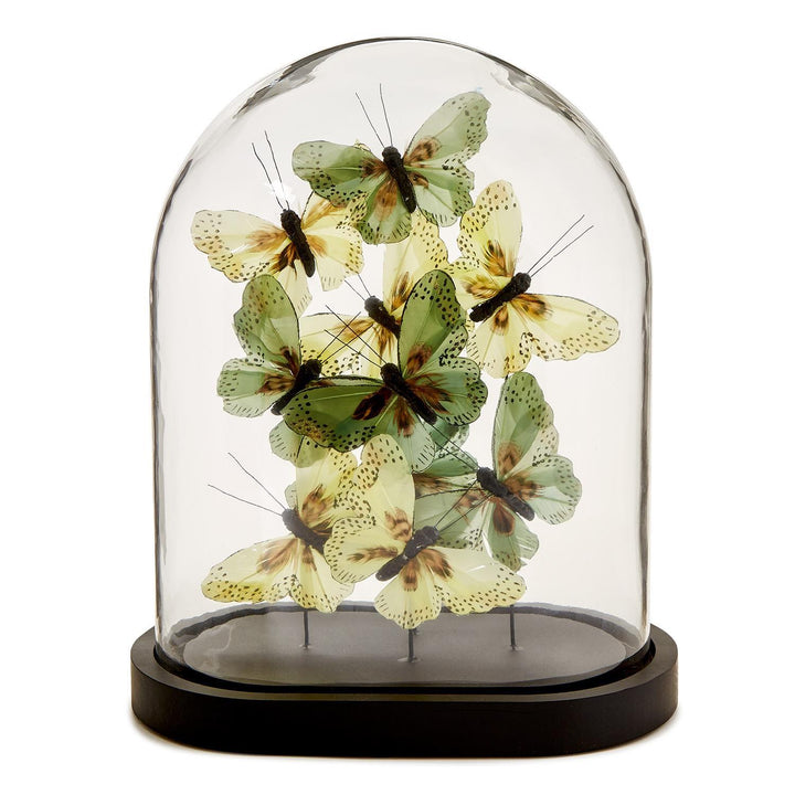 Flora and Fauna Butterflies Dome- Green