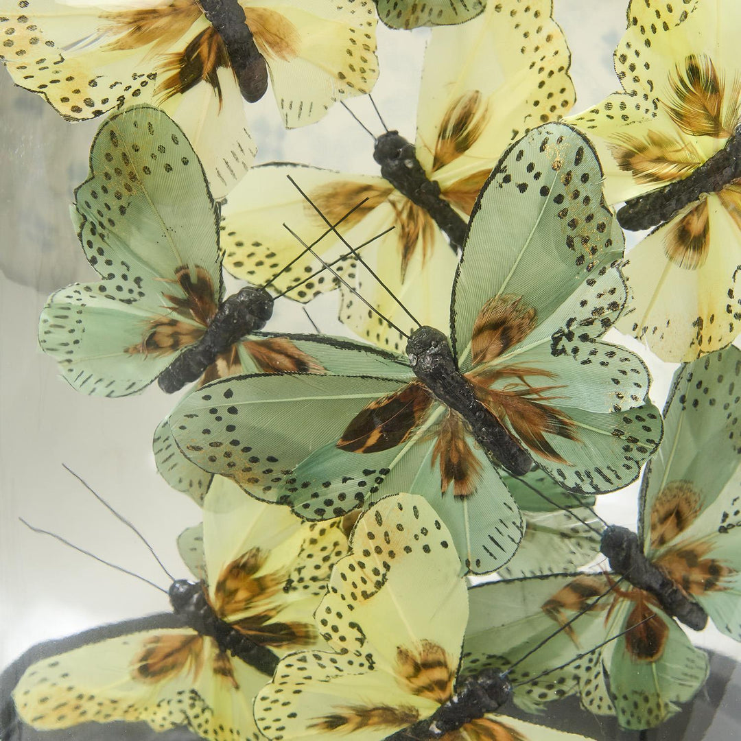 Flora and Fauna Butterflies Dome- Green