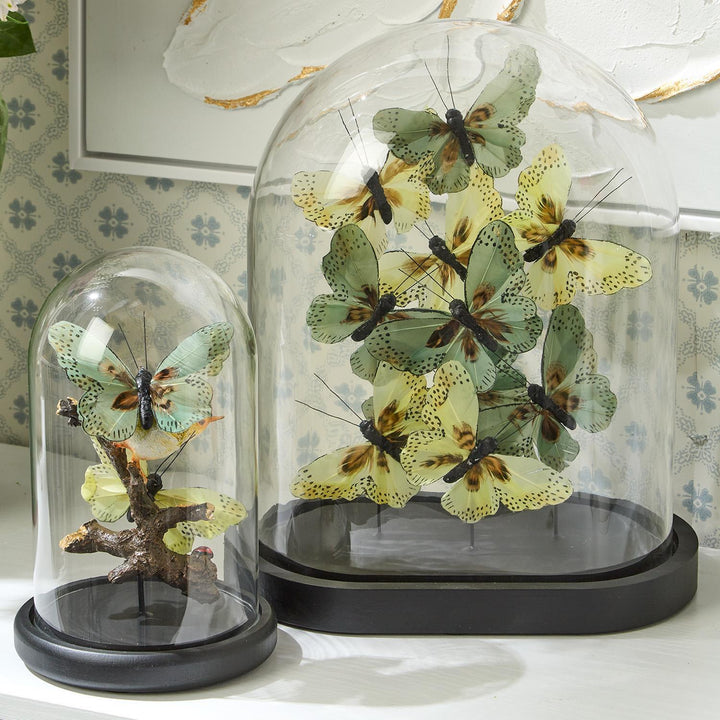 Flora and Fauna Butterflies Dome- Green