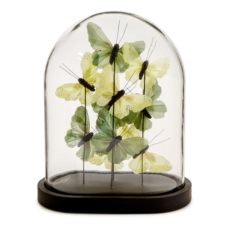 Flora and Fauna Butterflies Dome- Green