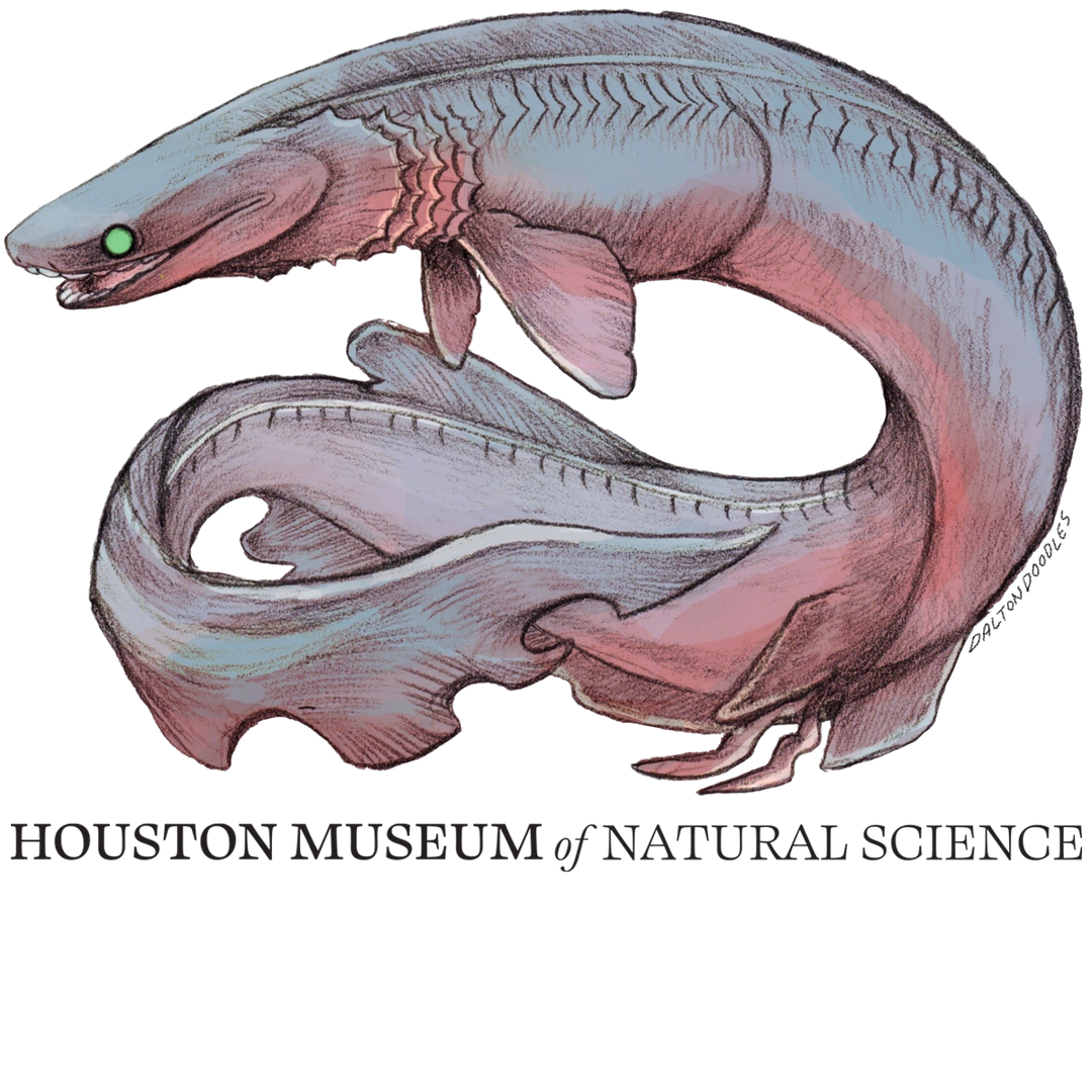 Frilled Shark HMNS Sticker Houston Museum of Natural Science