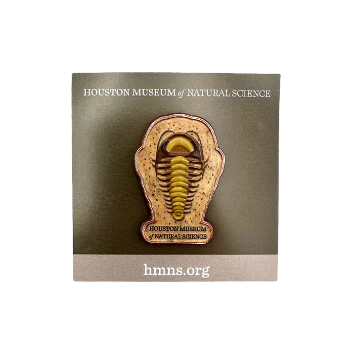 HMNS Trilobite Pin
