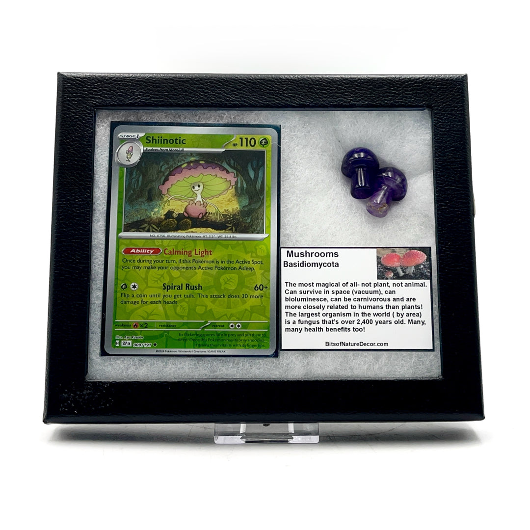 *FINAL SALE*  Mushroom Carving Pokémon Collector Box- Shiinotic