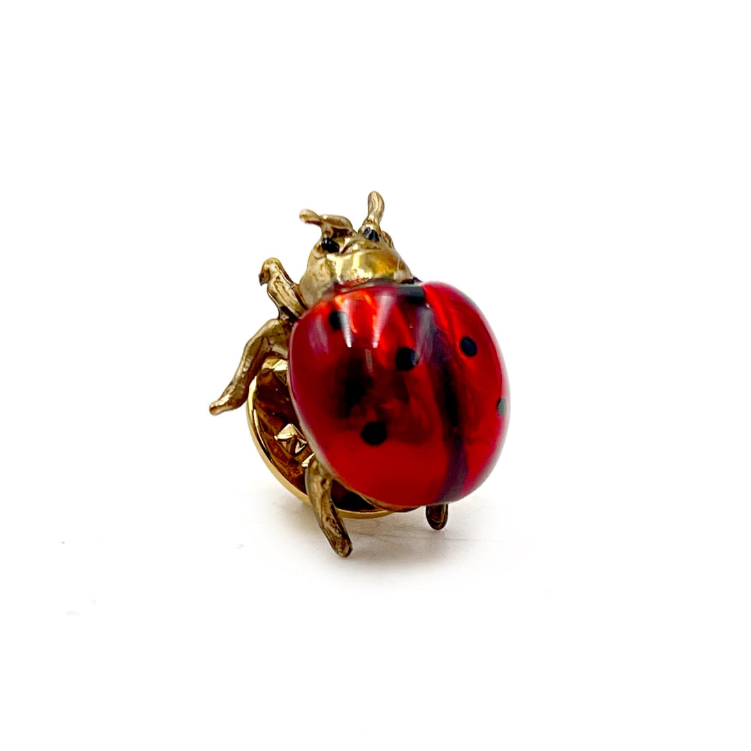Coccinella Rosso Pais Neri, Ladybug Brooch