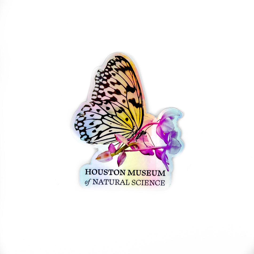 White Butterfly Holographic Sticker