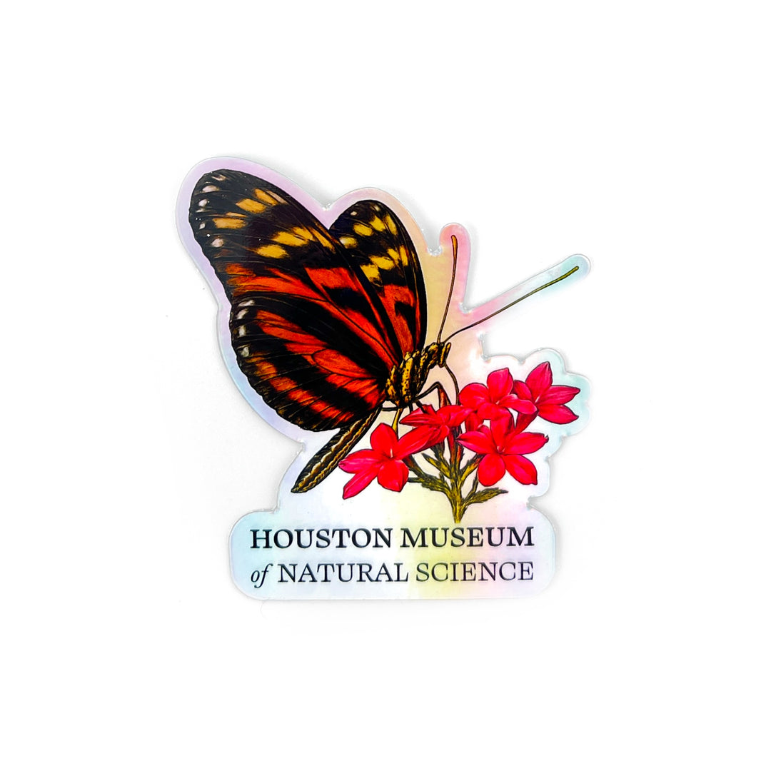 HMNS Butterfly Holographic Sticker