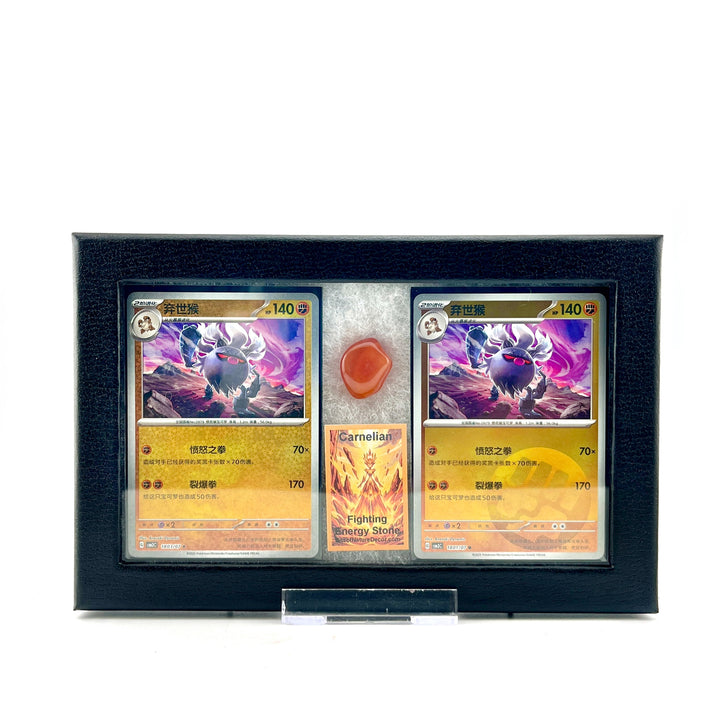 Pokemon Carnelian Set- Chinese
