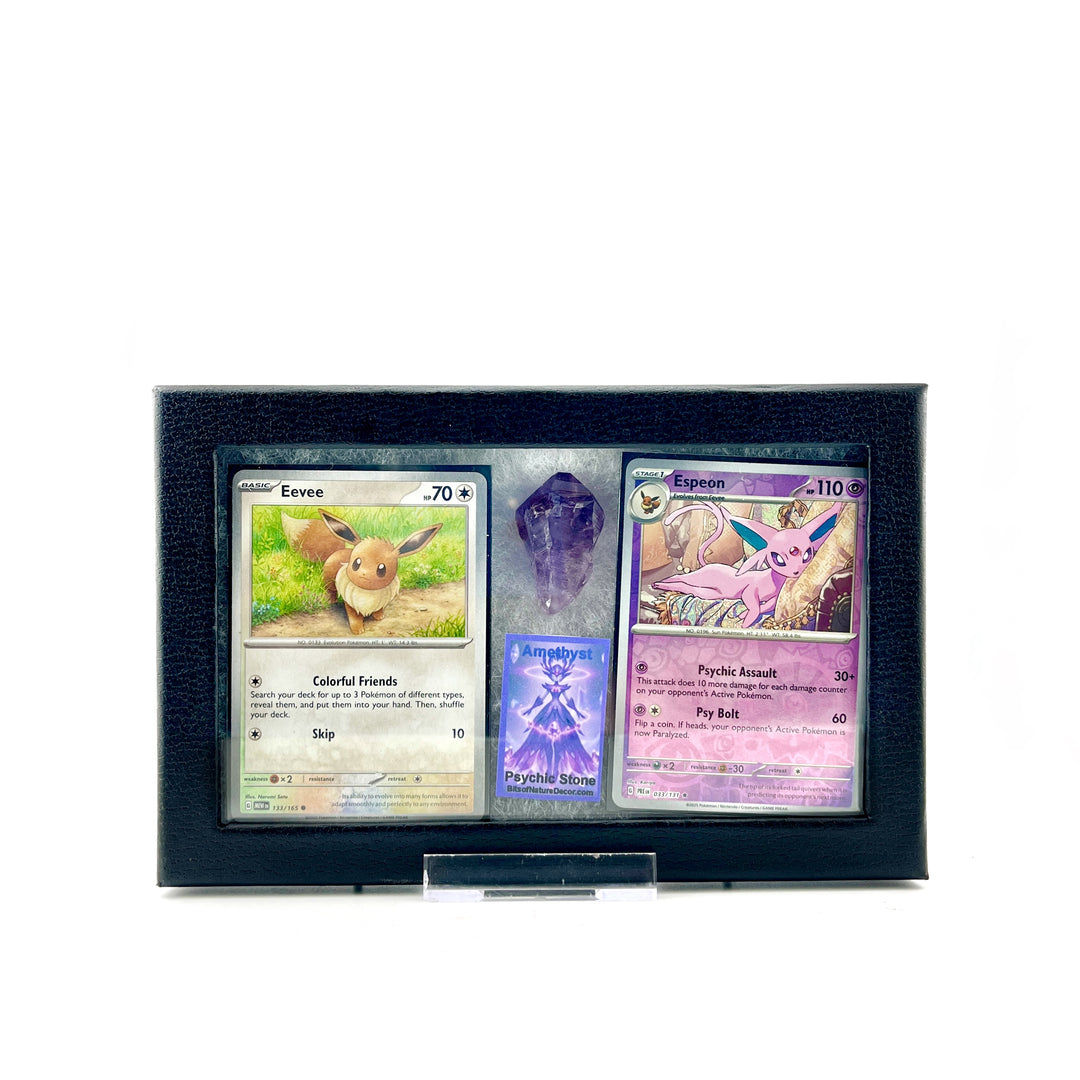 Pokemon Eevee Amethsyt Set