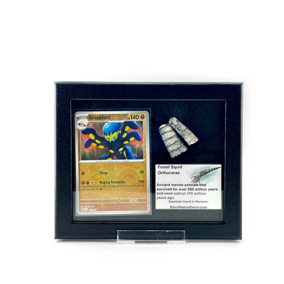 Pokemon Grapploct Orthoceras Set
