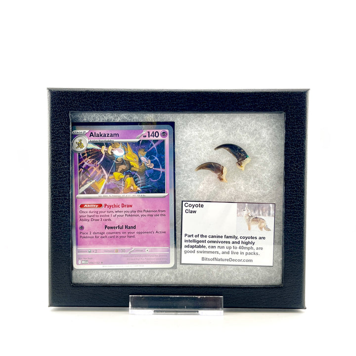 Pokemon Coyote Claw Set