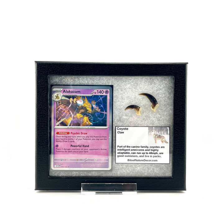 Pokemon Coyote Claw Set