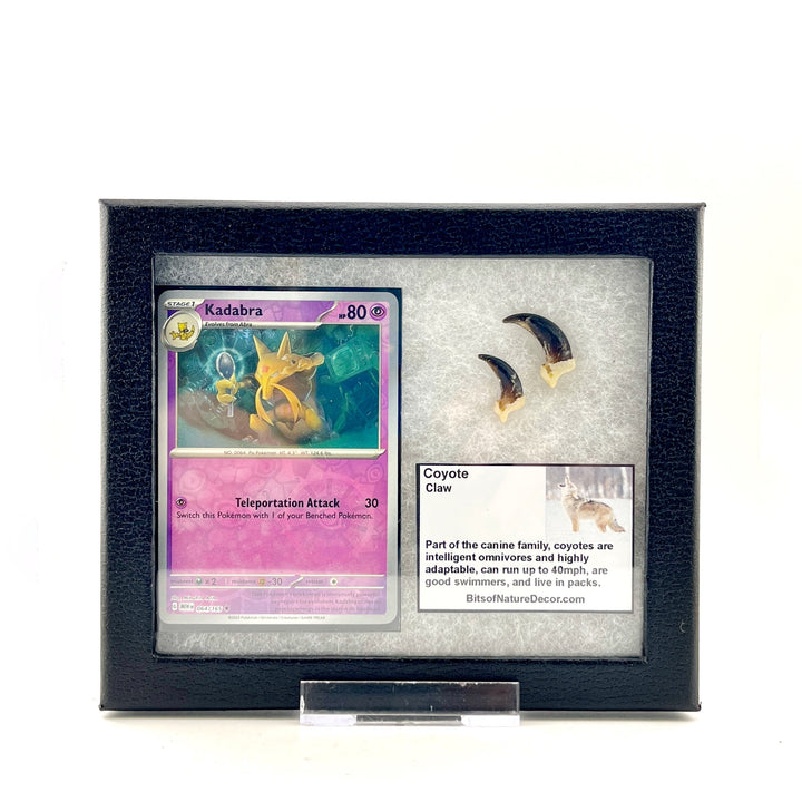 Pokemon Coyote Claw Set