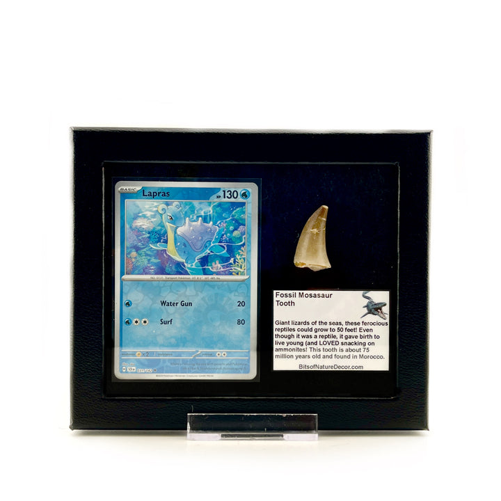 Pokemon Lapras Mosasaur Set