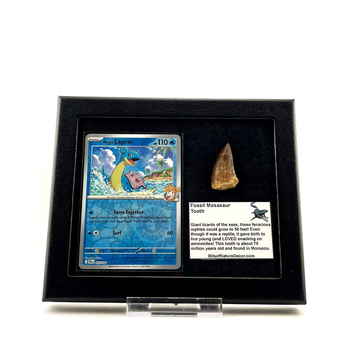 Pokemon Lapras Mosasaur Set