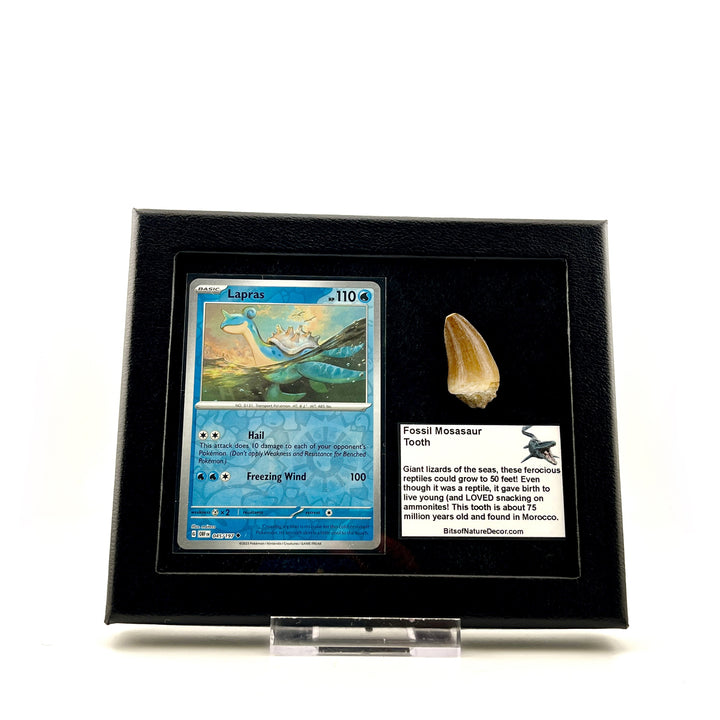 Pokemon Lapras Mosasaur Set