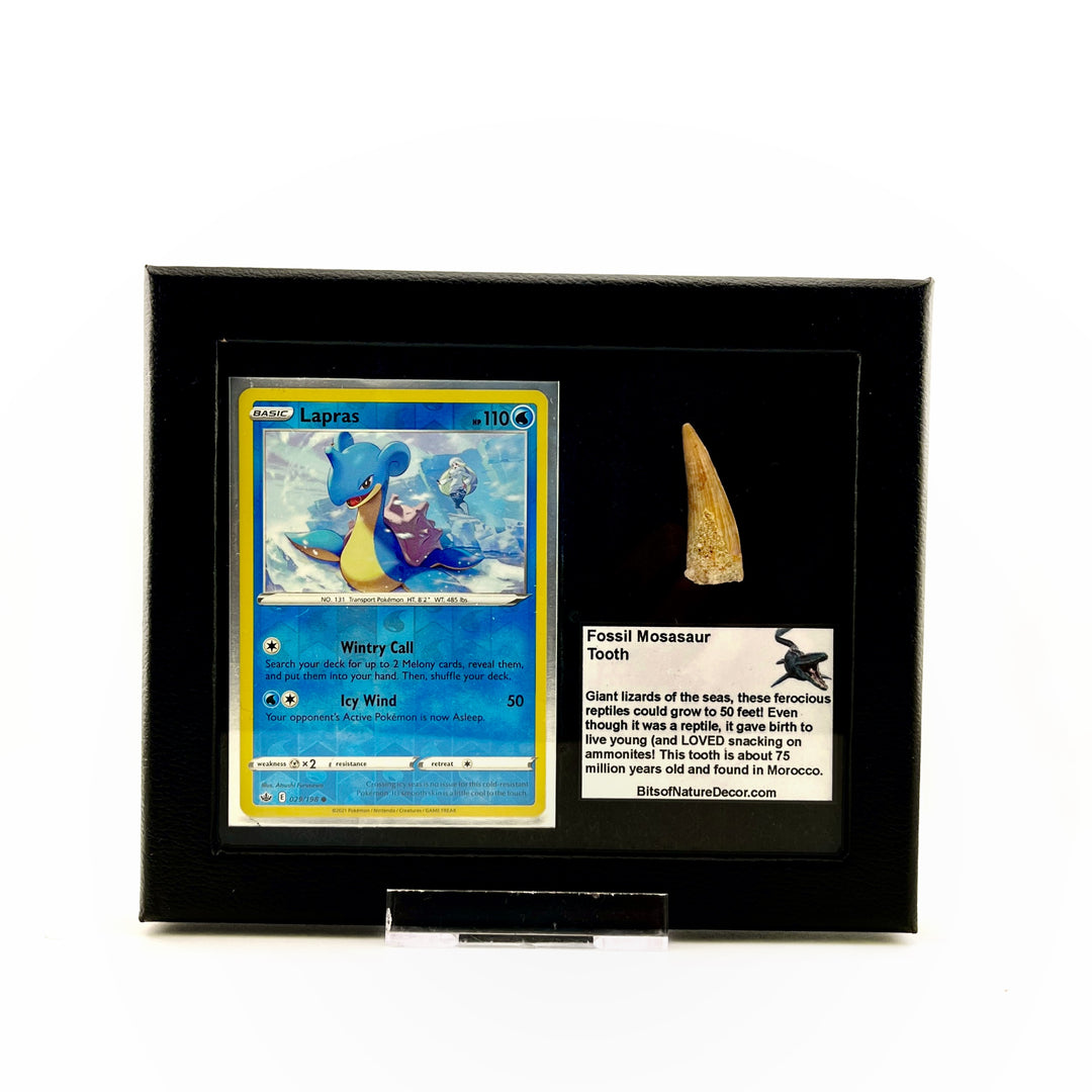 Pokemon Lapras Mosasaur Set