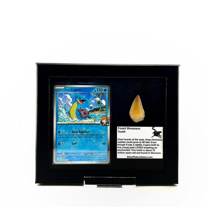 Pokemon Lapras Mosasaur Set