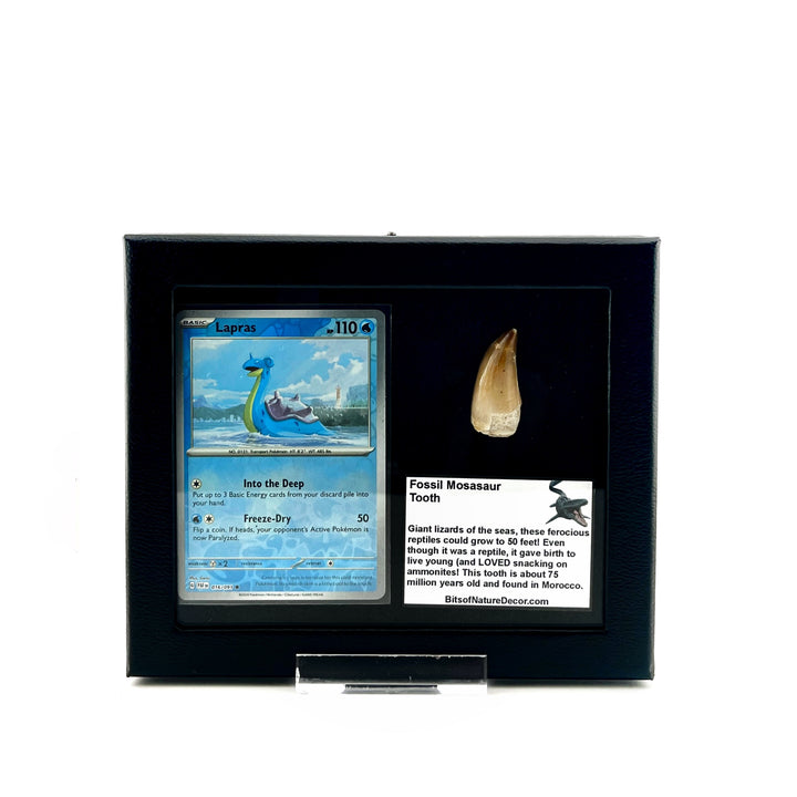 Pokemon Lapras Mosasaur Set