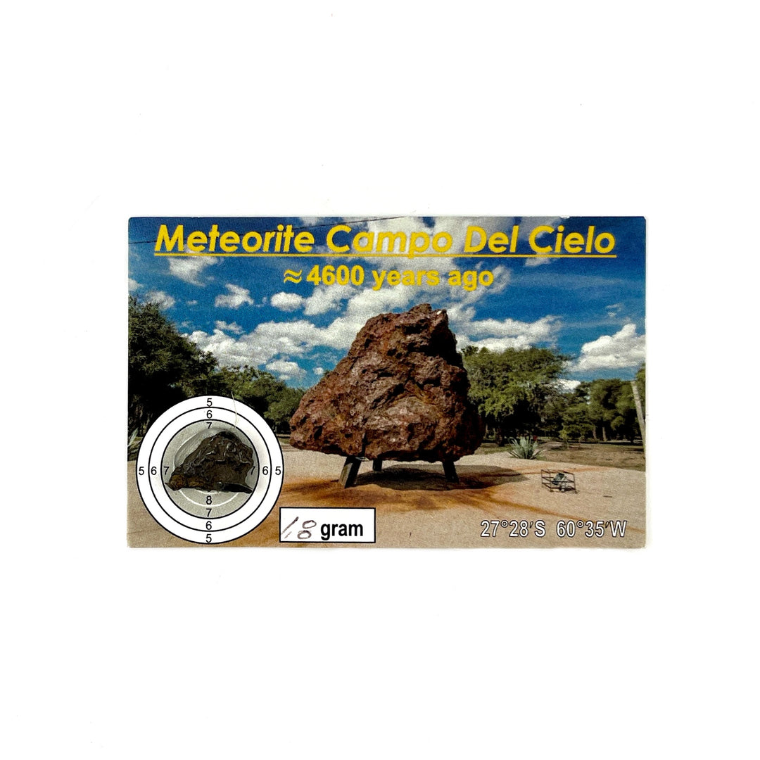 Meteorite on Card, Campo Del Cielo