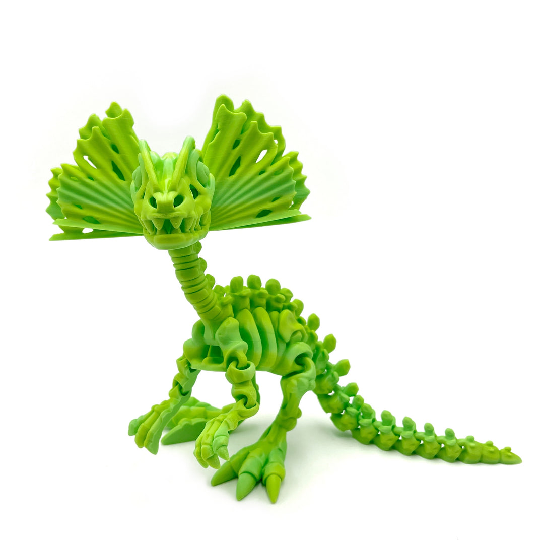 Large Dinosaur & Prehistoric Animal 3D Print Fossil Model