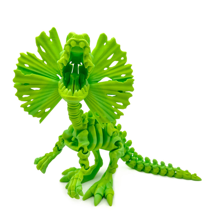 Large Dinosaur & Prehistoric Animal 3D Print Fossil Model