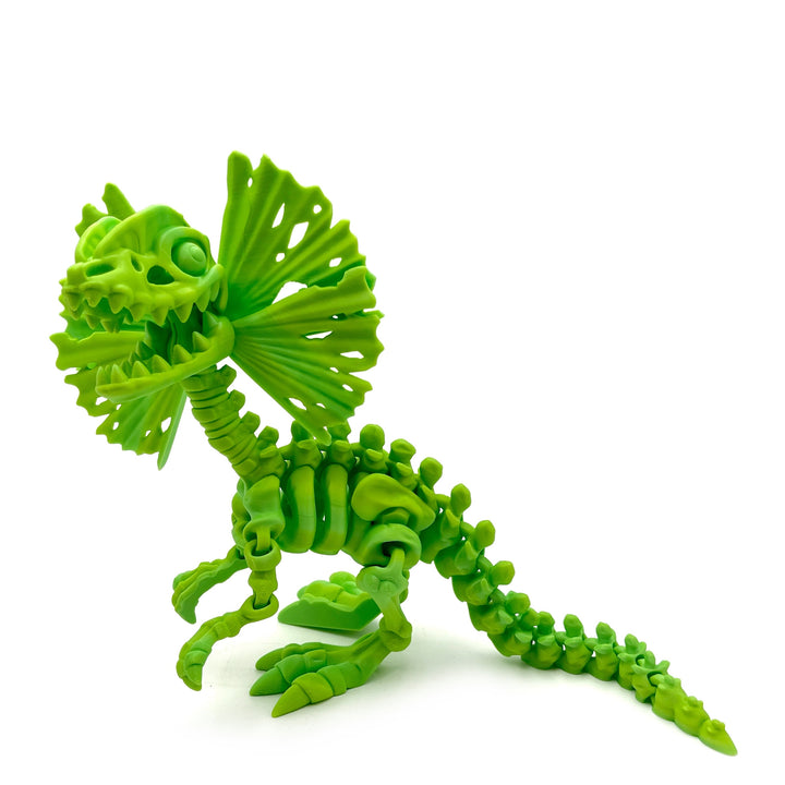 Large Dinosaur & Prehistoric Animal 3D Print Fossil Model