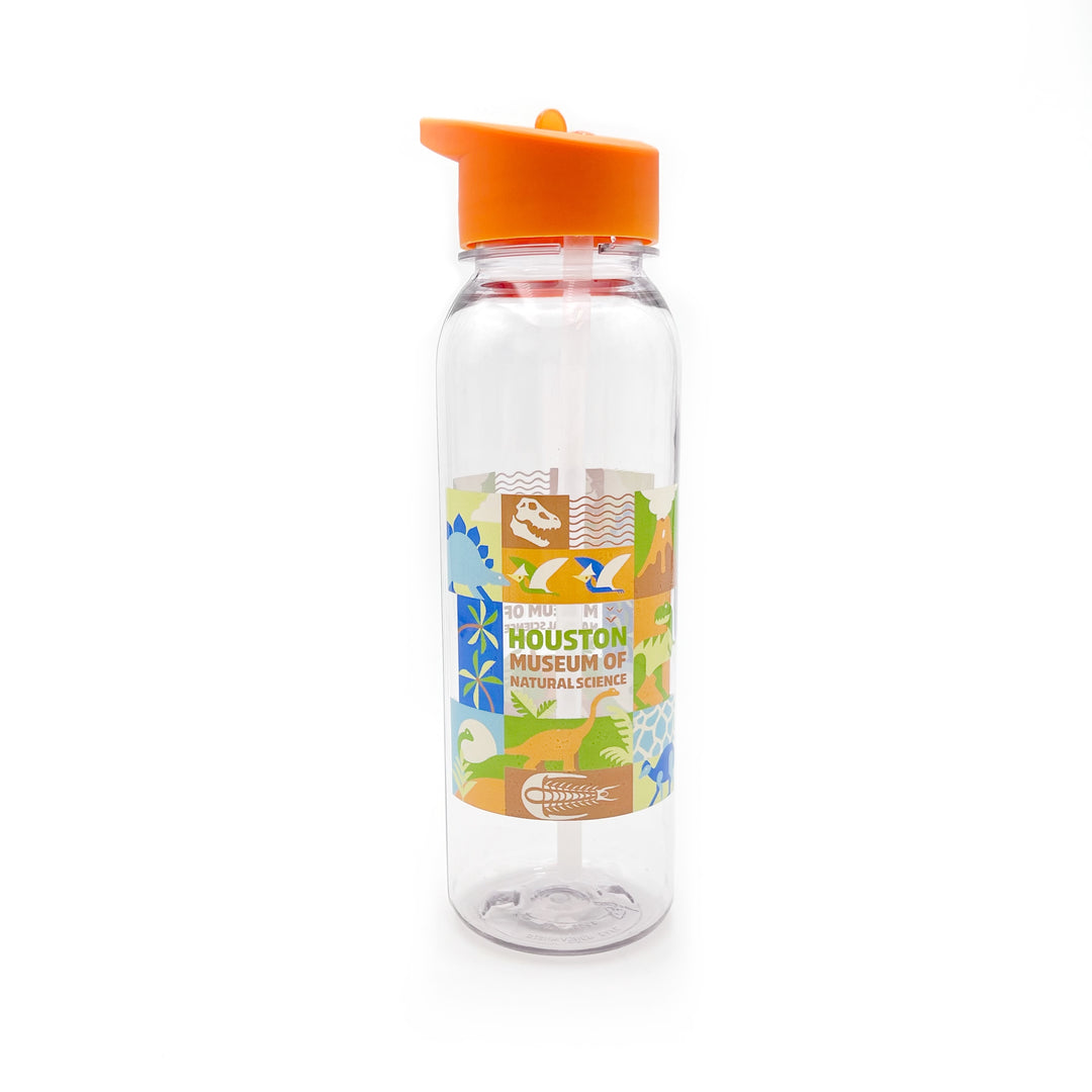 HMNS Block Party Flip Straw Bottle
