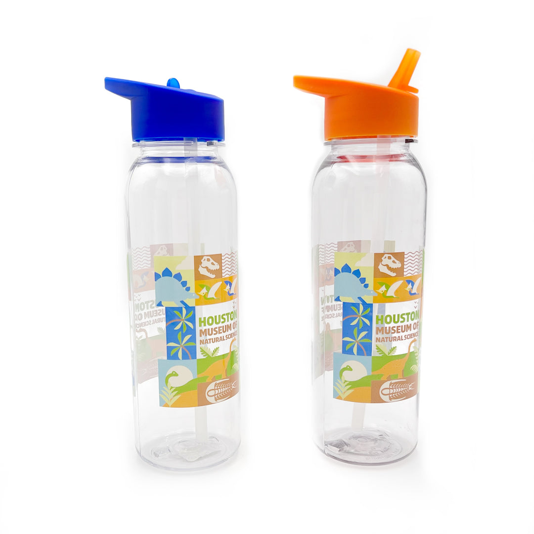 HMNS Block Party Flip Straw Bottle