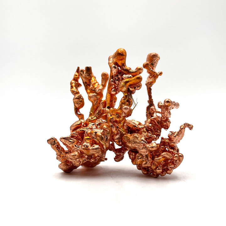 Sculptured Copper