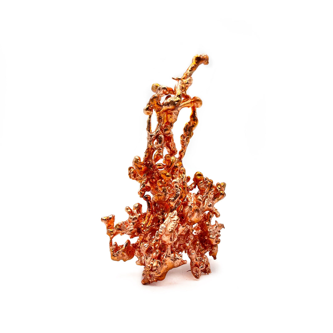 Sculptured Copper