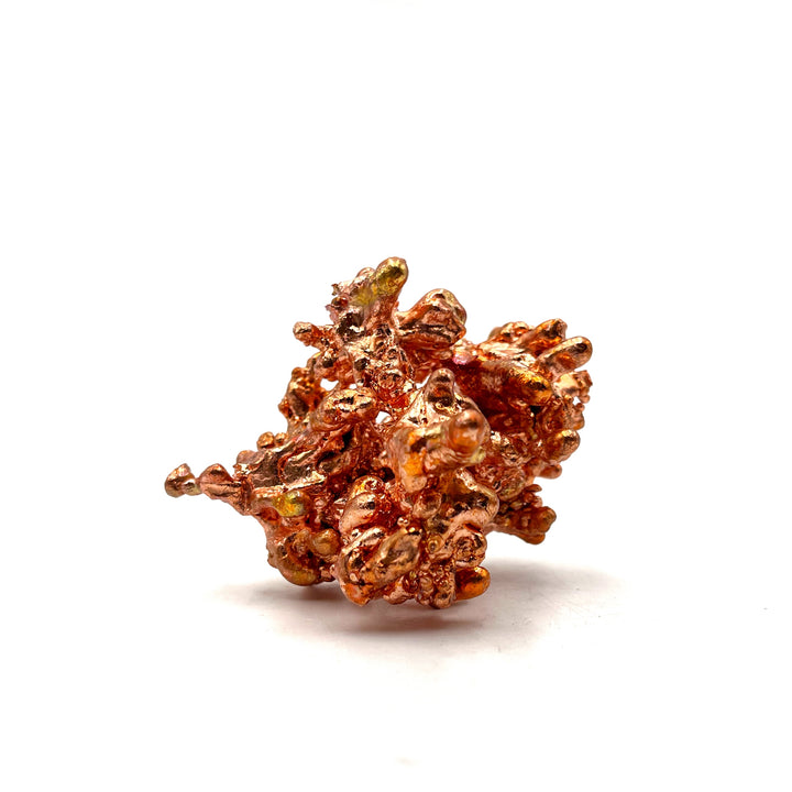 Sculptured Copper