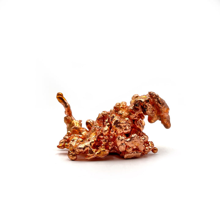 Sculptured Copper