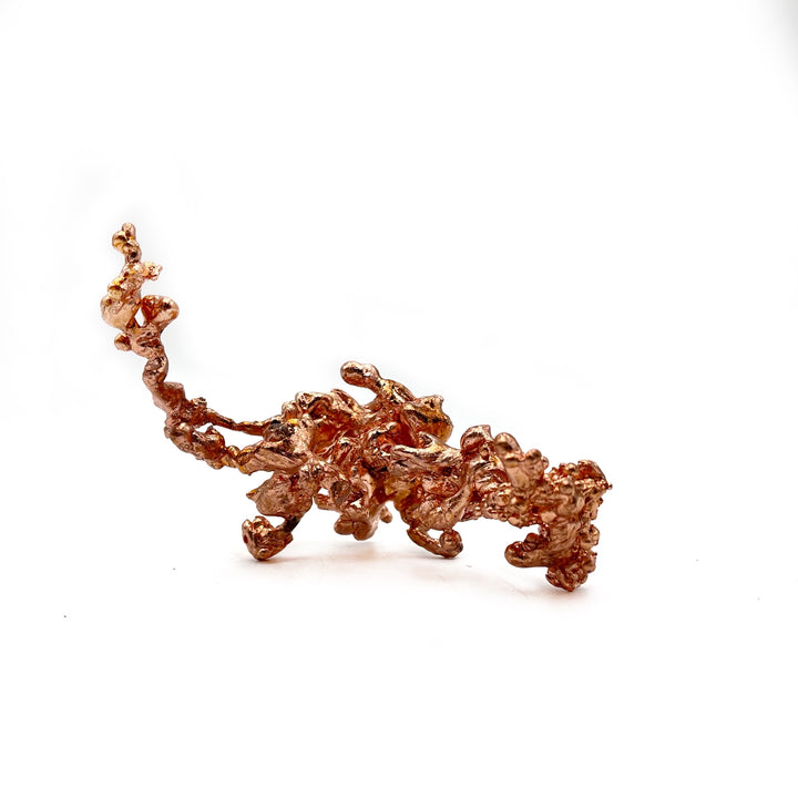 Sculptured Copper
