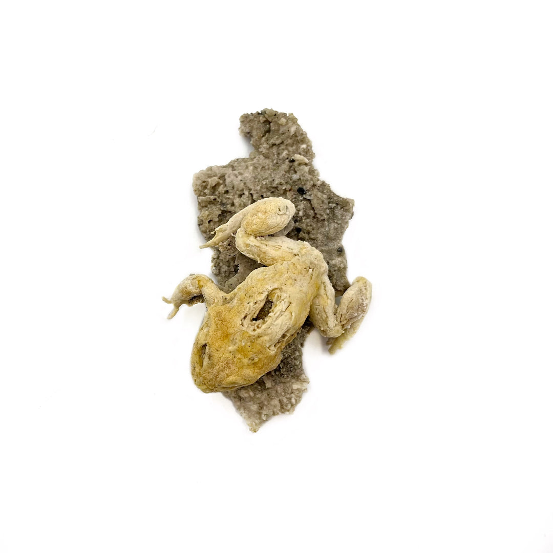 Trona after Frog (Petrified)