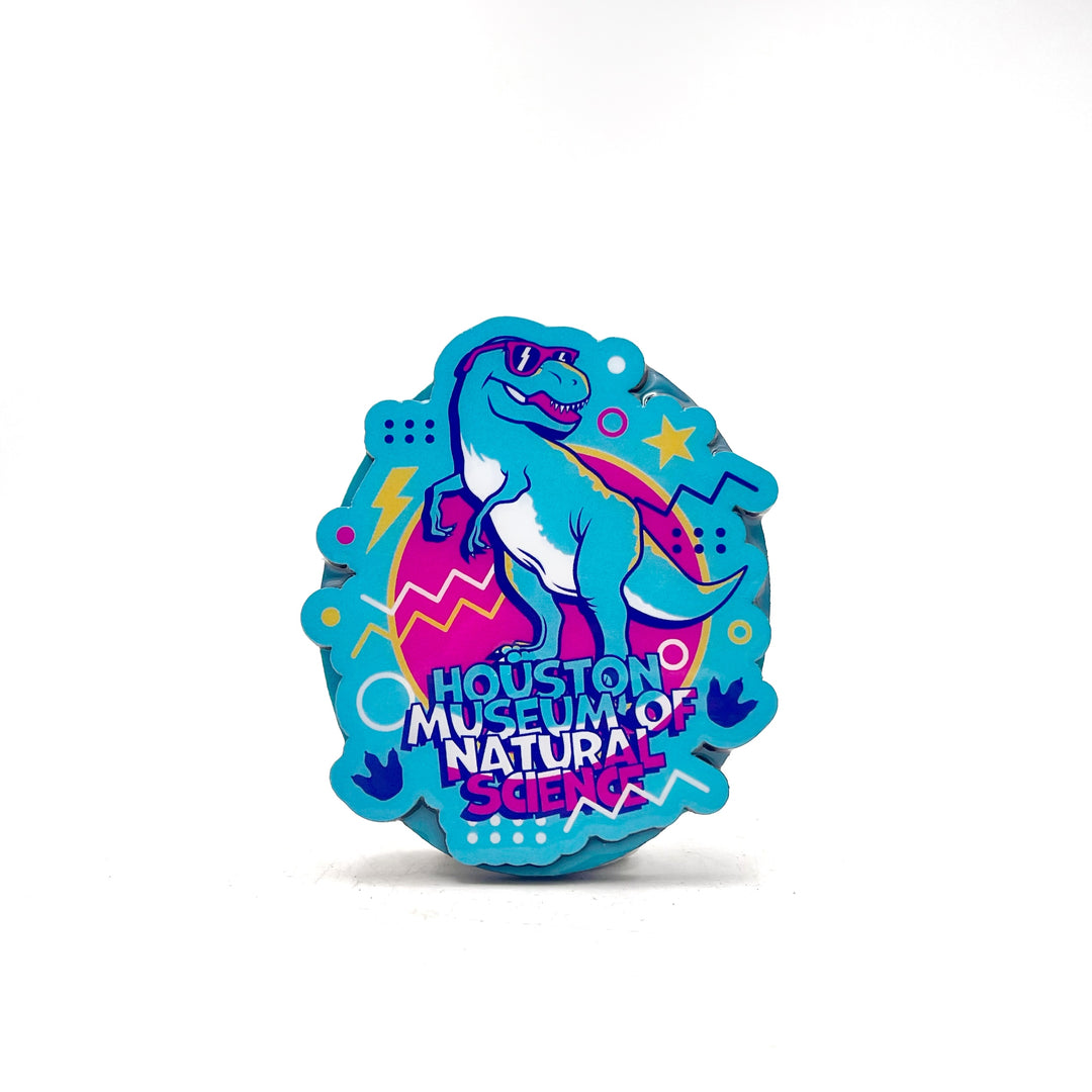 HMNS Retro Refresh Magnet