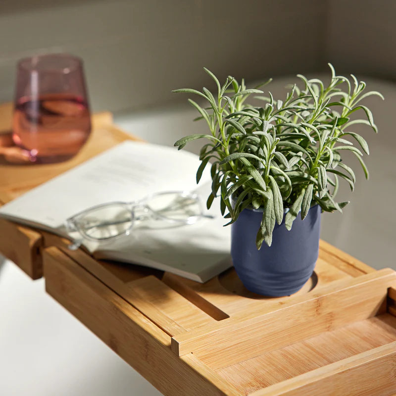 Garden Vibes Seed Planter & Candle: Violet Hour & Lavender Seed Packet