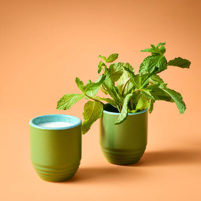 Garden Vibes Seed Planter & Candle: In the Weeds & Mint Seed Packet