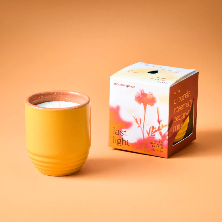 Garden Vibes Seed Planter & Candle: Last Light & Marigold Seed Packet