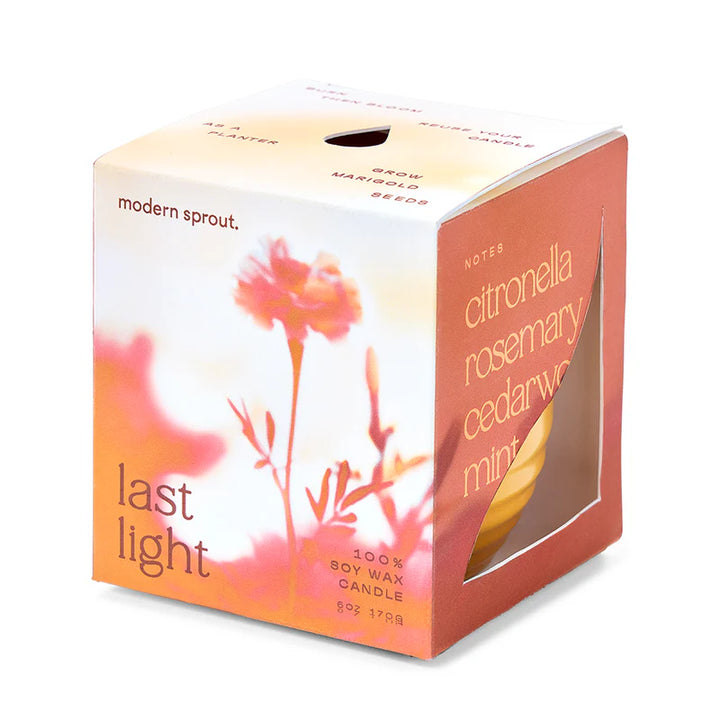 Garden Vibes Seed Planter & Candle: Last Light & Marigold Seed Packet